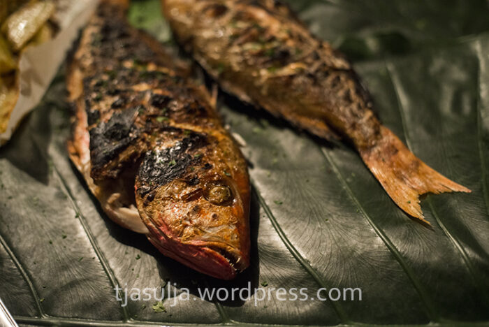 red-snapper3