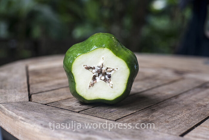 zelena-papaja-1