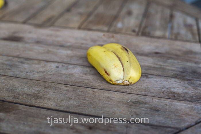 banana-twins-1
