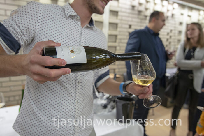 slovenski-festival-vin-4