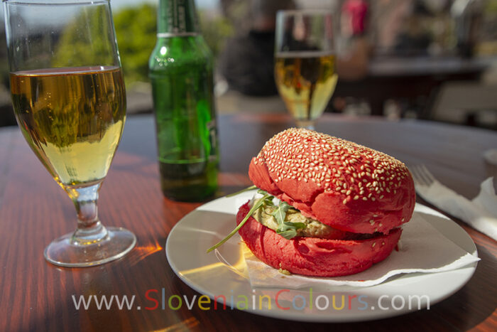 cactus-burger (1)