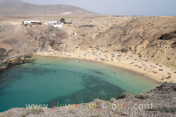 papagayo