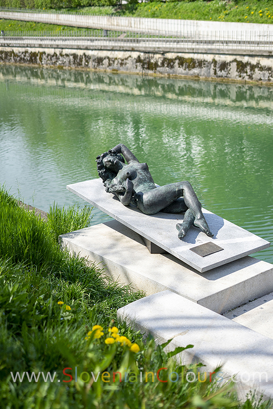 ekorna-ljubljana-1