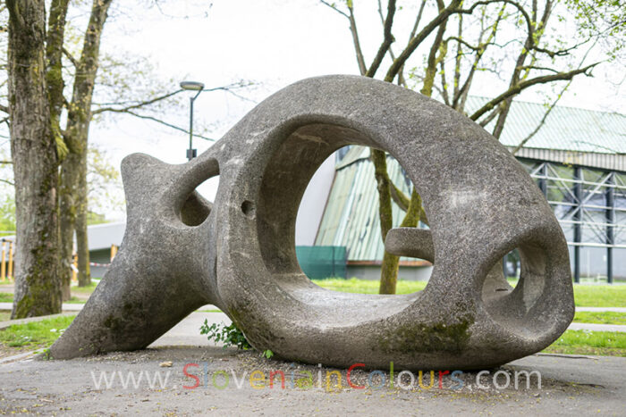riba-vladimira-bratuz-furlan-3-1