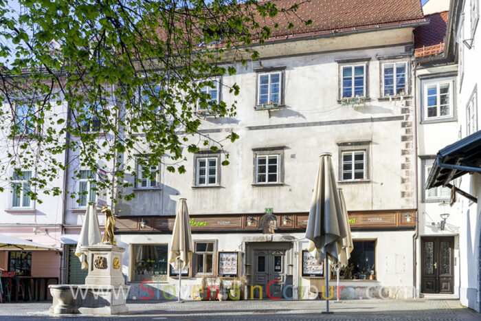 najstarejsa-hisa-ljubljana1