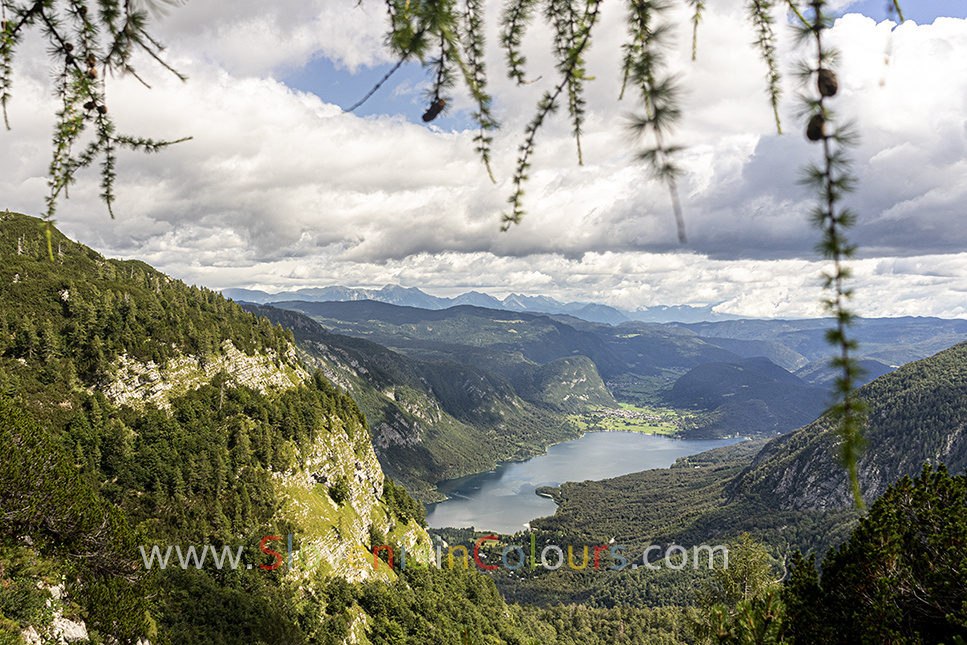 triglavski-narodni-park-bohinj