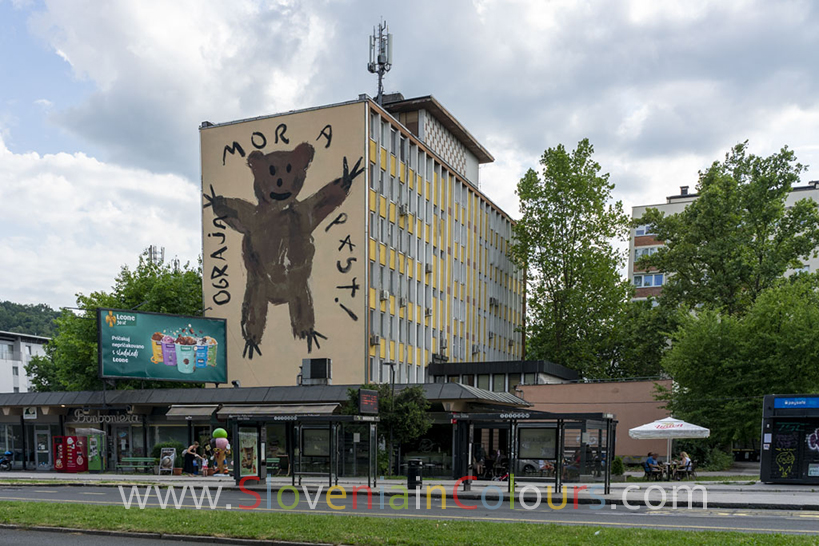 medved-escif-2