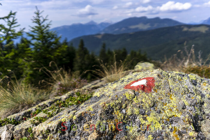 greben-komen-smrekovec-4